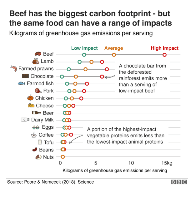 Screenshot 2019-06-12 at 16.59.01